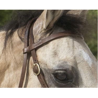 Bridon Westride por Franck Perret Colorado Chocolate Castanho Bridon Westride por Franck Perret Colorado Chocolate Castanho