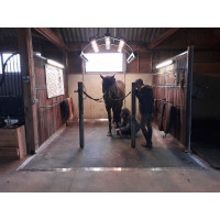 DELTA DIAM - SOL ALLEE ECURIE