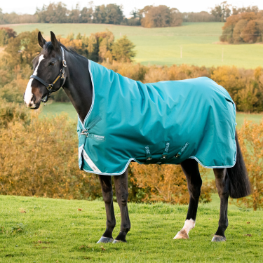 Cobertura Horseware High Neck Amigo® Bravo 12 Original 250g 1200D Cobertura Horseware High Neck Amigo® Bravo 12 Original 250g 1200D