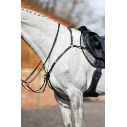 Peitoral com martingal LeMieux Preto