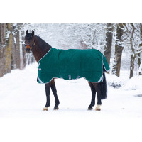 Cobertura Horseware Rambo Original com Leg Arches 400g Verde / prata