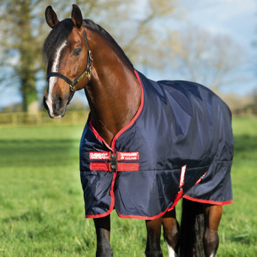 Capa de exterior Horseware Rambo Original 200g