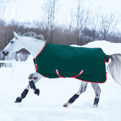 Capa de exterior Horseware Rambo Original 400g