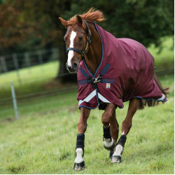 Capa de exterior Horseware Rambo Wug 200g