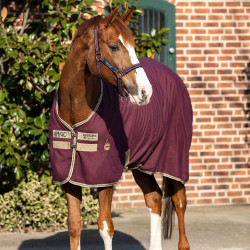Camisa de box Horseware Amigo Delphinium 0g