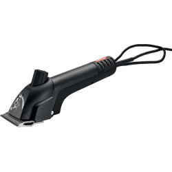 TOSQUIADEIRA NORTON PROGRESS