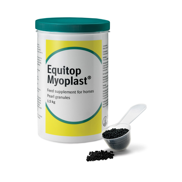 EQUITOP MYOPLAST EQUITOP MYOPLAST