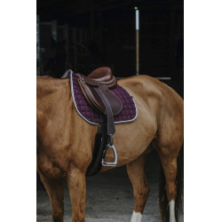 Sela Equithème Orion Sela Equithème Orion