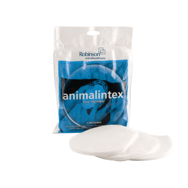 Curativo para casco Animalintex