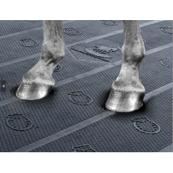 Colchão Bubble King