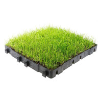 Lajes estabilizadoras Stab-Max