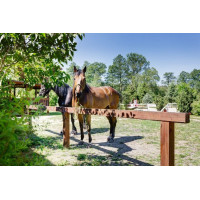 Lajes estabilizadoras Stab-Max