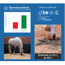 Colchão de box Pégase