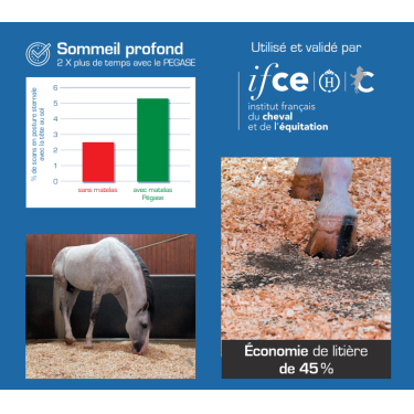 Colchão de box Pégase