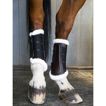 Guéteas de dressage posteriores T de T Guéteas de dressage posteriores T de T