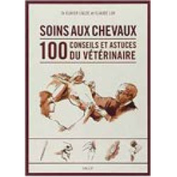 Cuidados com cavalos: 100 conselhos e dicas do veterinário
