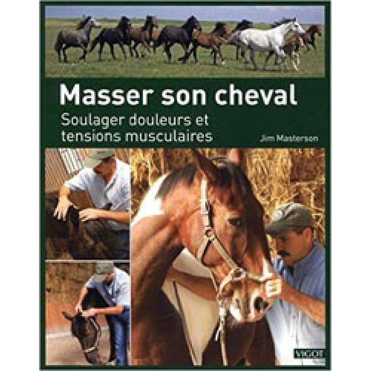 Massagear o seu cavalo