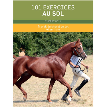 101 exercícios no chão