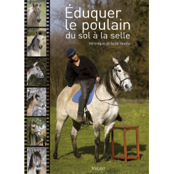 Educar o potro do chão à sela