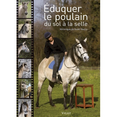 Educar o potro do chão à sela