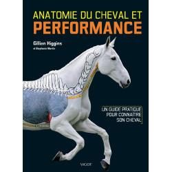 Anatomia do cavalo & Desempenho