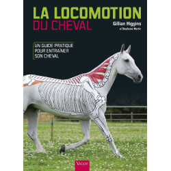 A Locomoção do Cavalo