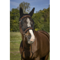 Máscara anti-moscas Equithème Training Preto modelo antigo Máscara anti-moscas Equithème Training Preto modelo antigo