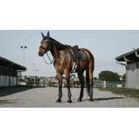 Boné anti-moscas Equithème French Touch Preto Boné anti-moscas Equithème French Touch Preto