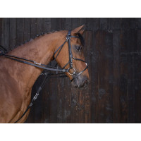 Rendas de gogue em couro Riding World Preto Rendas de gogue em couro Riding World Preto