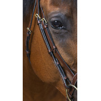 Bridon Eric Thomas Pro Wave Preto