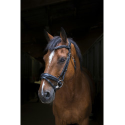 Bridon Eric Thomas Pro Design Preto