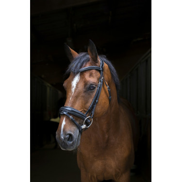 Bridon Eric Thomas Pro Design Preto Bridon Eric Thomas Pro Design Preto