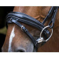 Bridon Eric Thomas Pro Design Preto