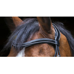 Bridon Eric Thomas Pro Design Preto