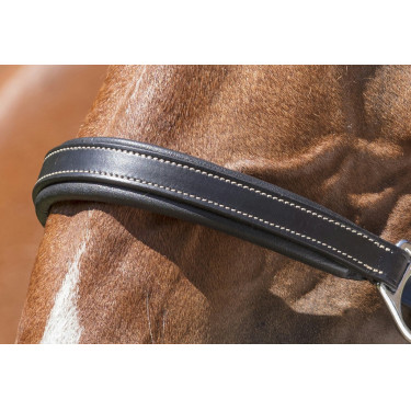 Cabeçada de couro Norton Pro Grooming Preto Cabeçada de couro Norton Pro Grooming Preto