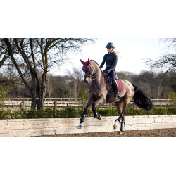 Tapis de dressage LeMieux softshell antiderrapante Bordéus Bord&amp;ocirc;