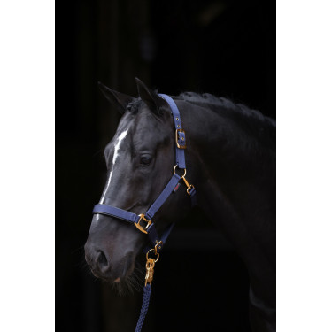 Cabresto TopLine Covalliero Cabresto TopLine Covalliero
