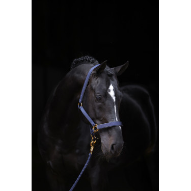 Cabresto TopLine Covalliero Cabresto TopLine Covalliero