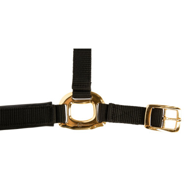 Cabresto TopLine Covalliero Preto