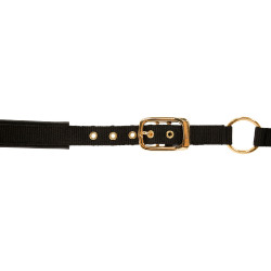 Cabresto TopLine Covalliero Preto