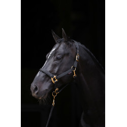 Cabresto TopLine Covalliero Preto