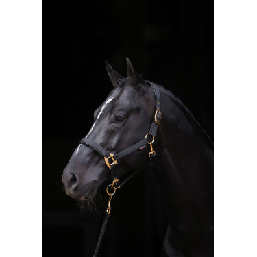 Cabresto TopLine Covalliero Preto