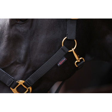 Cabresto TopLine Covalliero Preto