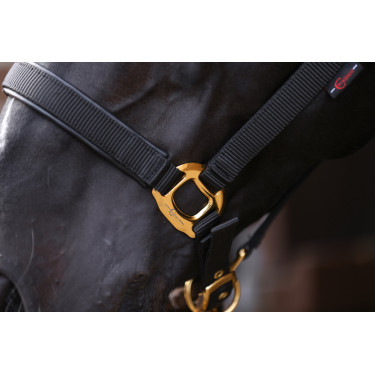 Cabresto TopLine Covalliero Preto