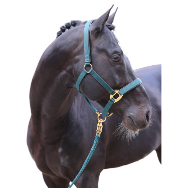 Cabresto TopLine Covalliero Cabresto TopLine Covalliero