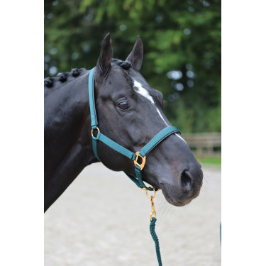 Cabresto TopLine Covalliero Cabresto TopLine Covalliero