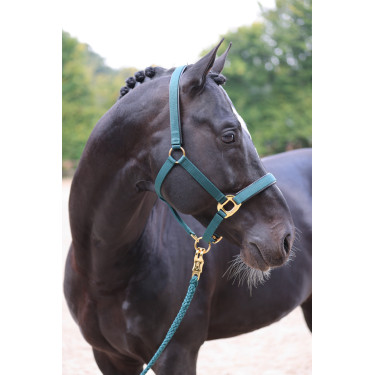 Cabresto TopLine Covalliero Cabresto TopLine Covalliero