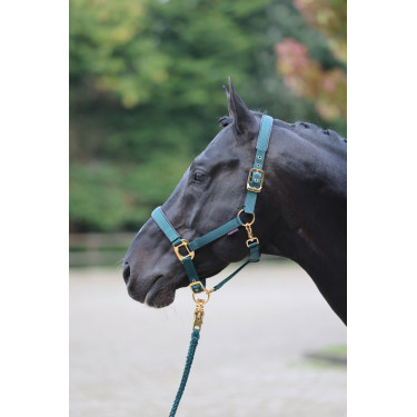Cabresto TopLine Covalliero Cabresto TopLine Covalliero