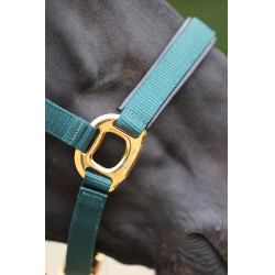 Cabresto TopLine Covalliero Verde floresta