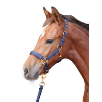 Cabresto para potro TopLine Covalliero Azul-marinho Cabresto para potro TopLine Covalliero Azul-marinho
